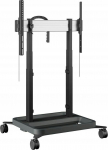 Vogels Stojak podłogowy na monitor 43'' - 98'' Rise (7353050) | 7353050 | 8712285357909