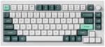 KEYBOARD WRL Q1 HE RGB/SHELL WHITE Q1H-P1 KEYCHRON | Q1H-P1 | 4895248871354