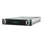 HPE DL380 G11 4510, 64GB, 2 x 480GB SSD, RPS | P83120-425 | 4549821647613