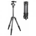 Manfrotto statiivikomplekt Befree GT CF 4 MKBFRTC4GT-BH | MKBFRTC4GT-BH | 8024221680676
