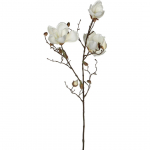 KUNSTLILL MICA DECORATIONS MAGNOOLIA 88CM VALGE