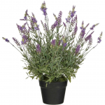 KUNSTLILL MICA DECORATIONS LAVENDEL POTIS 56X55CM LILLA
