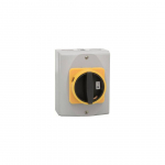 TURVAL&Uuml;LITI 3P 16A+1NO IP54 AE