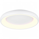 LAELAMP TRIO CARDONA LED 62CM 649616031 MATT VALGE