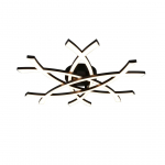PLAFOON TRIO POLLOCK LED 62X59CM MUST MATT