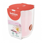 L&Otilde;HNAK&Uuml;&Uuml;NAL KLAASIS BOLSIUS 25H, MAGNOOLIA