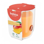 L&Otilde;HNAK&Uuml;&Uuml;NAL KLAASIS BOLSIUS 25H, MANGO