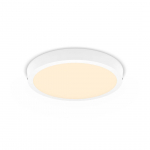 PLAFOON PHILIPS MAGNEOS DL252 &Uuml;MMARGUNE 20W 2700K IP20 VALGE
