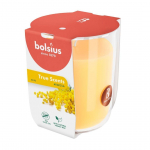 L&Otilde;HNAK&Uuml;&Uuml;NAL KLAASIS BOLSIUS 25H, MIMOSA