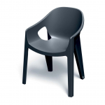 AIATOOL FERNE PREMO, CARBON