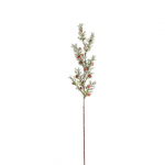 KUNSTTAIM MICA DECORATIONS M&Auml;NNIOKS MARJADEGA 67CM ROHELINE