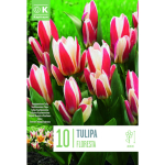 LILLESIBUL KAPITEYN KAUFMANNI TULP "FLORESTA"