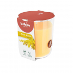 L&Otilde;HNAK&Uuml;&Uuml;NAL KLAASIS BOLSIUS 45H, MIMOSA