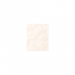 SEINAPLAAT 20X25CM LUCIE BEIGE 1,5M&sup2; PAKIS