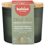 L&Otilde;HNAK&Uuml;&Uuml;NAL KLAASIS BOLSIUS TRUE JOY, BOTAANIKAAED 21H
