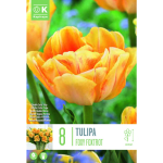 LILLESIBUL KAPITEYN TULP TOPELT&Otilde;IELINE "FOXY FOXTROT"
