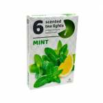 L&Otilde;HNASTATUD TEEK&Uuml;&Uuml;NAL ADMIT 4H M&Uuml;NT 6TK