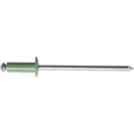 NEET 3.2X8 RR 36 HELEROHELINE 50TK
