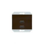 USB PESA VILMA XP500 RAAMITA 2XUSB 3,4 А PRUUN