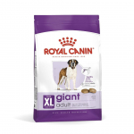 KUIVTOIT ROYAL CANIN KOERALE GIANT ADULT 15KG