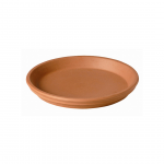 LILLEPOTI ALUSTALDRIK DEROMA SAVIST SOTTO TERRA 11CM
