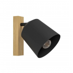 KOHTVALGUSTI EGLO COTORRO 1X25W E27 PUIT/MUST