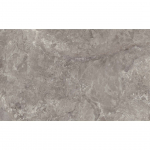 SEINAPLAAT PRISSMACER ESS LAO GRIS GLOSSY 33,3X55CM