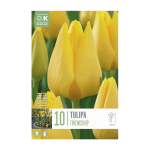 LILLESIBUL KAPITEYN TRIUMFTULP "FRIENDSHIP" 10TK