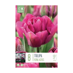 LILLESIBUL KAPITEYN T&Auml;IDIS&Otilde;IELINE TULP "ROYAL ACRES" 8TK