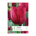 LILLESIBUL KAPITEYN NARMAS&Otilde;IELINE TULP "PACIFIC PEARL" 8TK