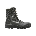 TALVESAAPAD COFRA BARENTS S3 NR.46