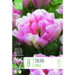 LILLESIBUL KAPITEYN T&Auml;IDIS&Otilde;IELINE TULP "FINOLA"
