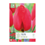 DARWIN H&Uuml;BRIID TULP KAPITEYN "RED VAN EIJK" 10TK