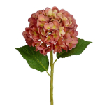 KUNSTLILL MICA DECORATIONS REAL TOUCH HORTENSIA 55CM VIRSIK