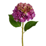 KUNSTLILL MICA DECORATIONS REAL TOUCH HORTENSIA 55CM TUMELILLA