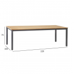 LAUD MONTANA 220X100XH76CM TIIKPUU