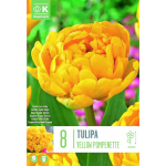 TOPELT&Otilde;IELINE TULP KAPITEYN YELLOW POMPONETTE 8TK