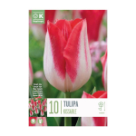 TRIUMFTULP KAPITEYN "KISSABLE" 10TK