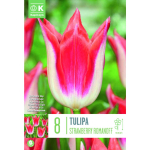 LIILIA&Otilde;IELINE TULP KAPITEYN STRAWBERRY ROMANOFF 8TK