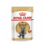 M&Auml;RGTOIT ROYAL CANIN KASSILE BRITISH SHORTHAIR 12X85G
