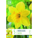 NARTSISS KAPITEYN LARGE CUPPED CARLTON 5TK
