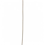BAMBUSTOED 116CM 10TK PAKIS