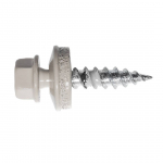 KATUSEKRUVI 4,8X25 RR 30 BEEZ 250TK PAKIS