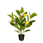 KUNSTTAIM MICA DECORATIONS SIDRUNIPUU POTIS H46X&Oslash;40CM