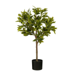 KUNSTTAIM MICA DECORATIONS LOORBERIPUU POTIS H90X&Oslash;25CM