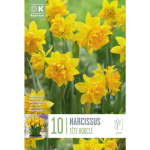LILLESIBUL NARTSISS "DOUBLE TETE BOUCLE"
