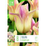 LILLESIBUL LIILIA&Otilde;IELINE TULP "FLOWERED ELEGANT LADY"