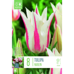 LILLESIBUL KAPITEYN LIILIA&Otilde;IELINE TULP "FLOWERED MARILYN" 8TK PAKIS