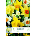 NARCISSUS LARGE CUPPED MIXED COLOURS