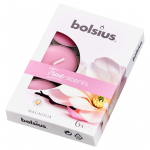 L&Otilde;HNA-TEEK&Uuml;&Uuml;NAL BOLSIUS 4H, MAGNOOLIA 6TK PAKIS